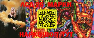 шишки Абакан