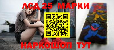 шишки Абакан