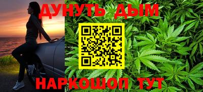 шишки Абакан